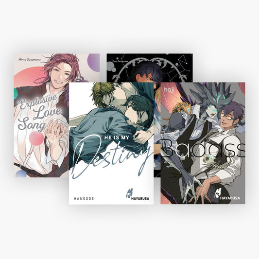 Hayabusa: 4 Hot and Spicy Boys-Love-Mangas im Set + 1 exklusives Postkartenset