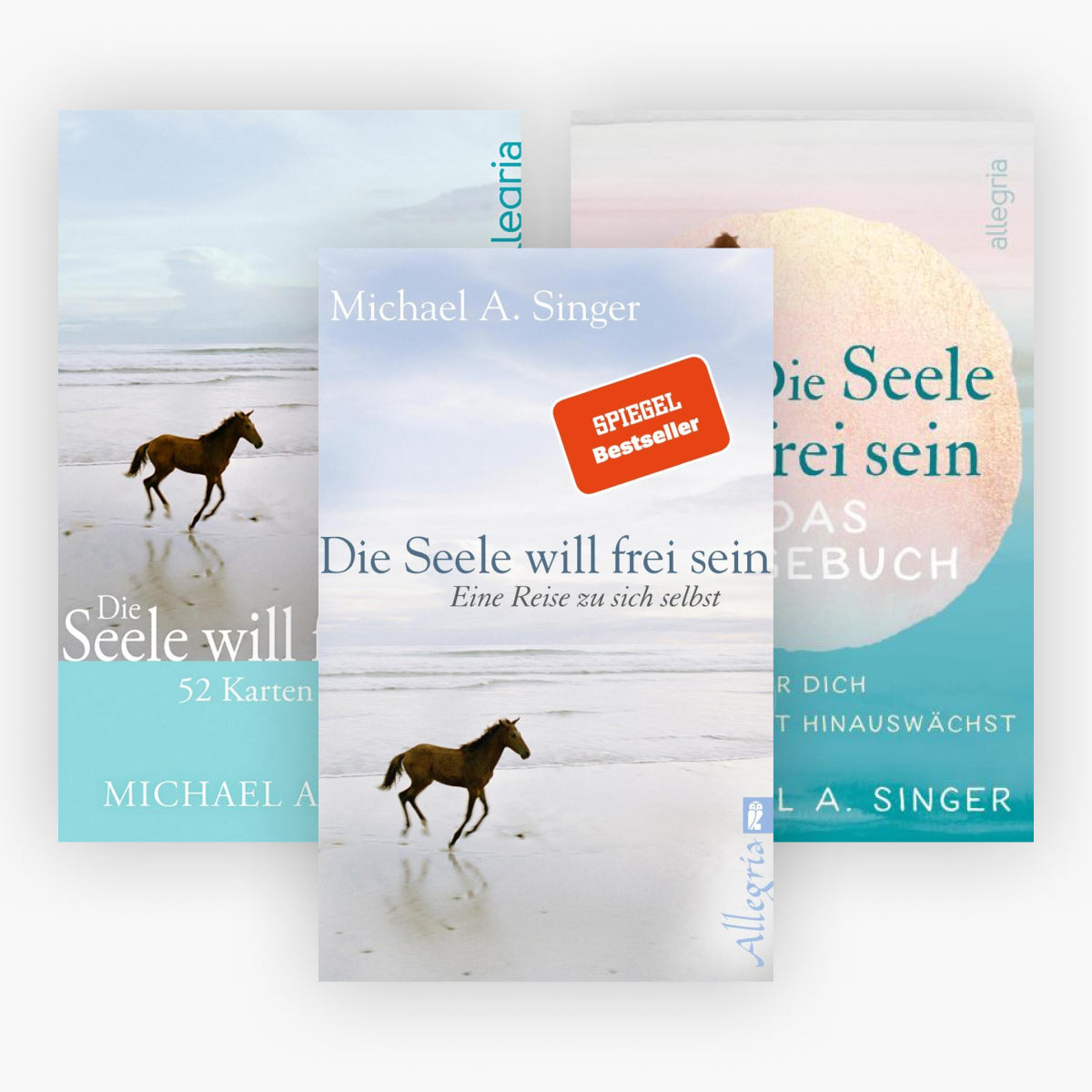 Die Seele will frei sein - Buch,Karten und Tagebuch im Set + 1 exklusives Postkartenset