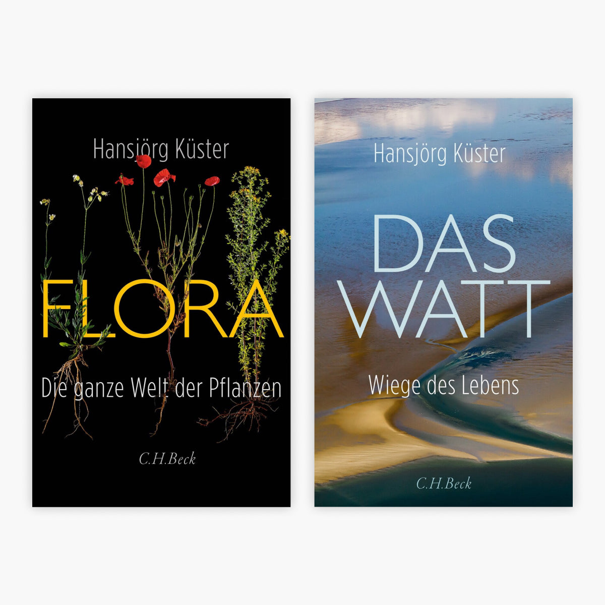 Flora + Das Watt + 1 exklusives Postkartenset