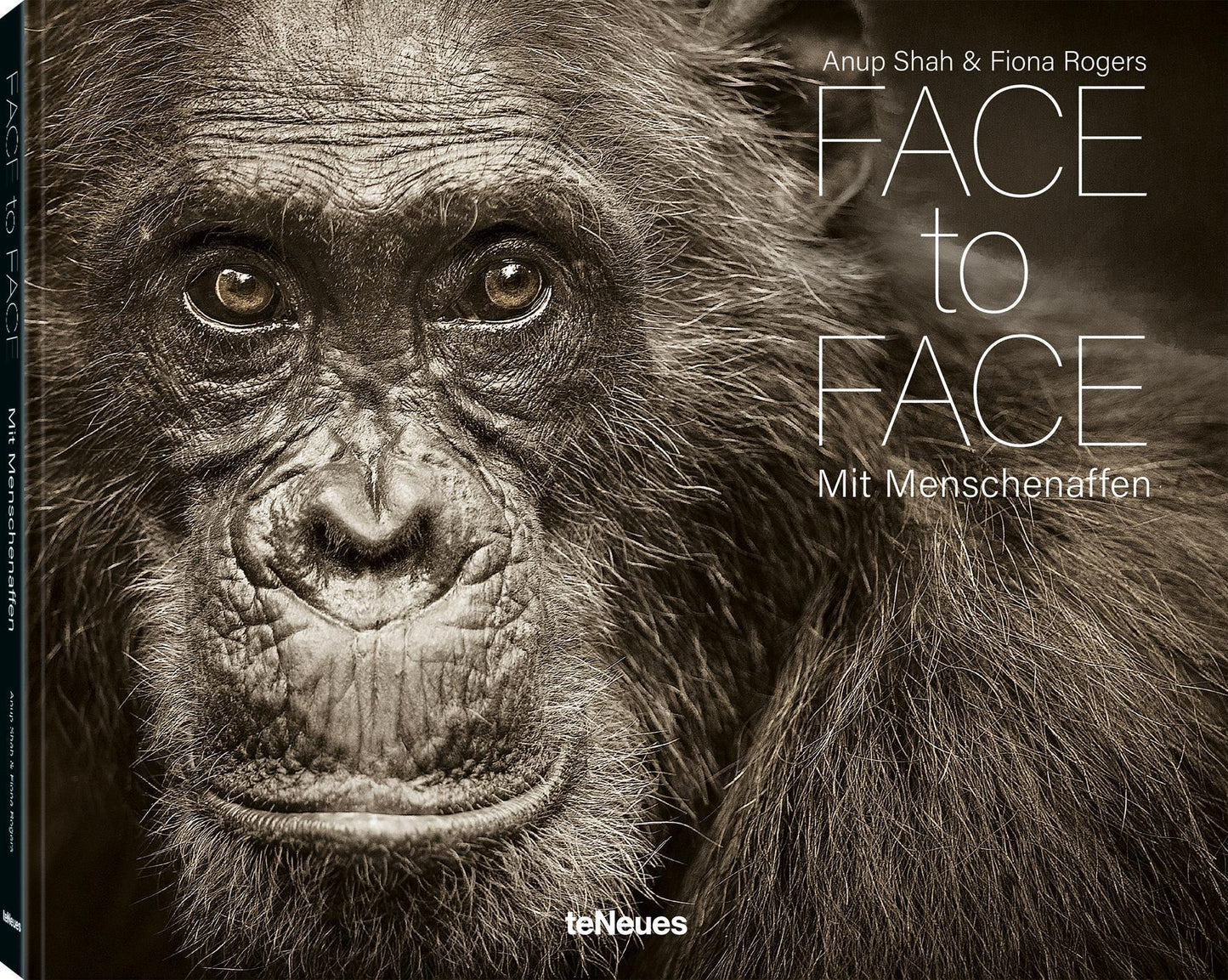 Face to Face: Mit Menschenaffen