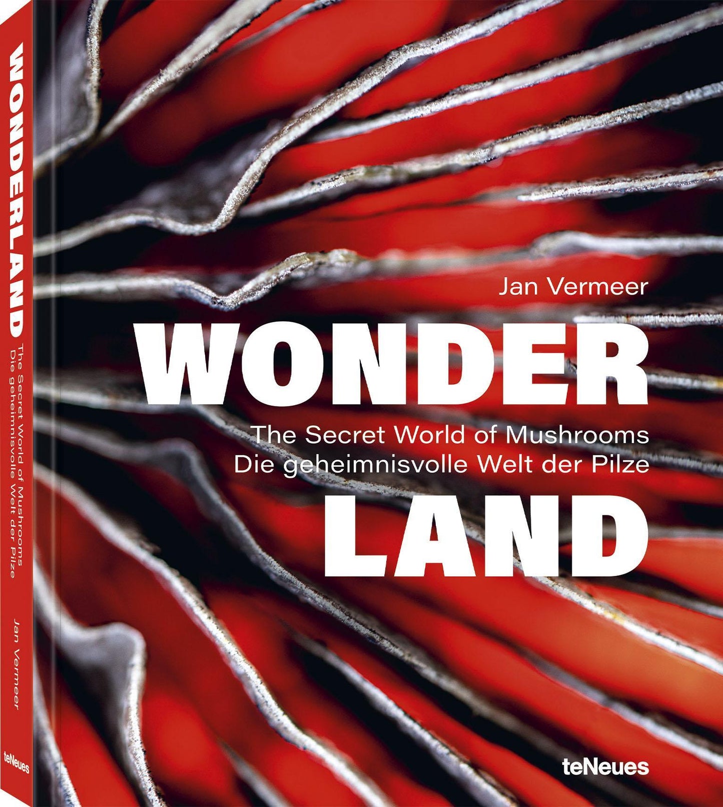 Wonderland: Die geheimnisvolle Welt der Pilze