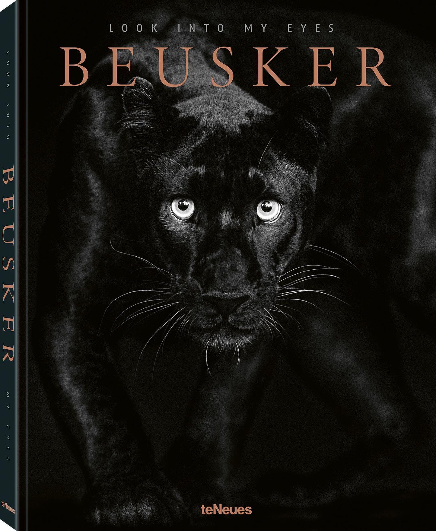 Beusker: Look into my Eyes